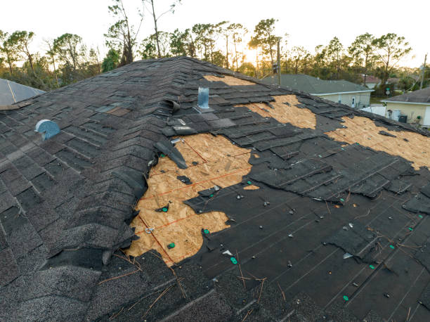 Best Skylights  in Mariposa, CA