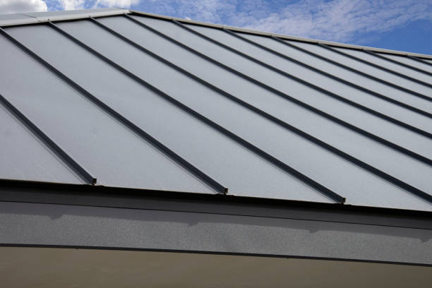 Best Skylight Installation and Repair  in Mariposa, CA